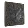 Black Cat Stepping Stone - Image 3