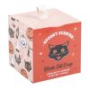 Black Cat Curse Cinnamon Orange Candle - Image 3