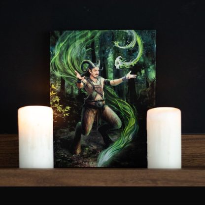 19x25cm Earth Element Wizard Canvas Plaque by Anne Stokes - Image 4