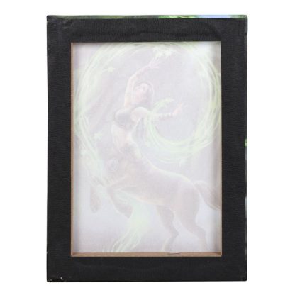 19x25cm Earth Element Sorceress Canvas Plaque by Anne Stokes - Image 3