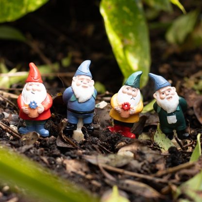 Set of 4 Mini Gnome Plant Pot Pals - Image 5