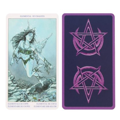 Pagan Tarot Card Deck - Image 2