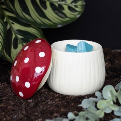 Mushroom Shaped Oil Burner - Image 6