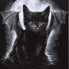19x25cm Bat Cat Canvas Plaque by Spiral Direct - Image 2