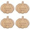 Pumpkin Spice Coaster Set