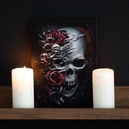 19x25cm Skulls n Roses Canvas Plaque by Spiral Direct - Image 4