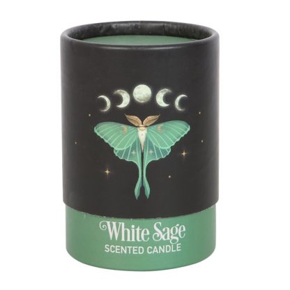 Luna Moth White Sage Candle - Image 5