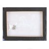 25x19cm Shooting Stars Canvas Plaque by Anne Stokes - Image 2