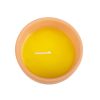 Gardener of the Year Citronella Candle - Image 2