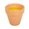 Gardener of the Year Citronella Candle - Image 3