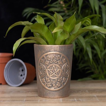 Triple Moon Bronze Terracotta Plant Pot by Lisa Parker - Image 4