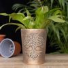 Tree of Life Bronze Terracotta Plant Pot by Lisa Parker - Image 4
