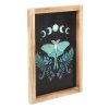 Luna Moth Wooden Framed Wall Art - Image 2