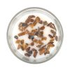 Vanilla Stardust Crystal Chip Candle - Image 3