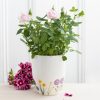 Wildflower Ceramic Plant Pot - Image 5