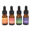 The Happy Collection Blended Essential Oil Set - Image 4