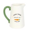 Farm Fresh Carrot Patch Ceramic Flower Jug - Image 2