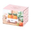 Carrot Salt and Pepper Shakers in Wagon - Image 5