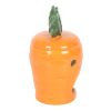 Carrot Shaped Oil Burner and Wax Warmer - Image 5