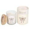 Luna Moth Manifestation Candle with Clear Quartz Crystals - Image 2