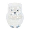 Owl Shaped Iridescent Oil Burner - Image 2