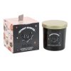 Bats Brew Midnight Mulberry Candle - Image 2