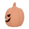 12.5cm Terracotta Pumpkin Ornament - Image 2