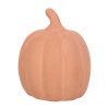 12.5cm Terracotta Pumpkin Ornament - Image 3