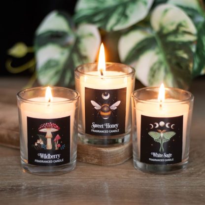 Dark Forest Votive Candle Trio - Image 5