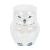 Owl Shaped Iridescent Oil Burner