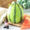 Watermelon Oil Burner - Image 2