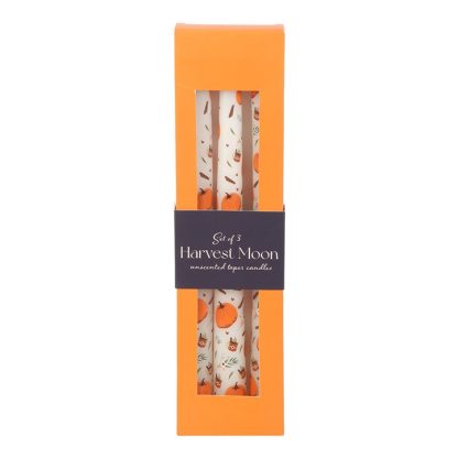 Set of 3 Pumpkin Taper Candles - Image 2