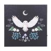 Night Owl Light Up Canvas Plaque - Image 2