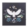 Night Owl Light Up Canvas Plaque - Image 3
