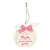 Thanks for Helping Me Grow Apple Hanging Decoration - Image 2