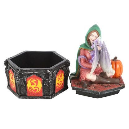 Dragon Friendship Fall Box by Anne Stokes - Image 4