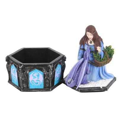 Dragon Friendship Winter Box by Anne Stokes - Image 4