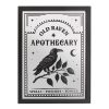 Old Raven Apothecary Mirrored Wall Art - Image 2