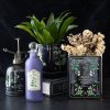 Deadly Nightshade Decorative Glass Potion Bottle - Image 6