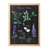 Poisonous Plants Framed Wall Art Print - Image 2
