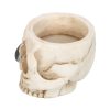 Skull Tealight Holder with Snake - Image 4