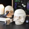 Skull Tealight Holder with Snake - Image 5