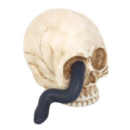Skull Ornament with Snake - Image 3