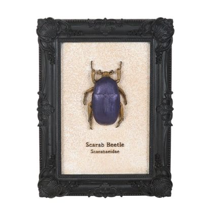 Scarab Beetle Framed Wall Art Print - Image 2