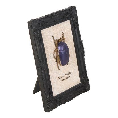 Scarab Beetle Framed Wall Art Print - Image 3